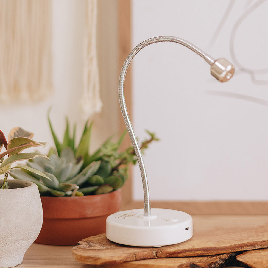 Sidewinder Flash Cure Lamp V2